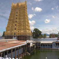 picture6